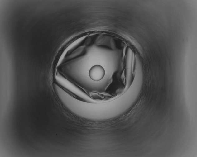 X0000100351316200806271354