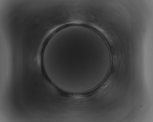 X0000100351319200806271354