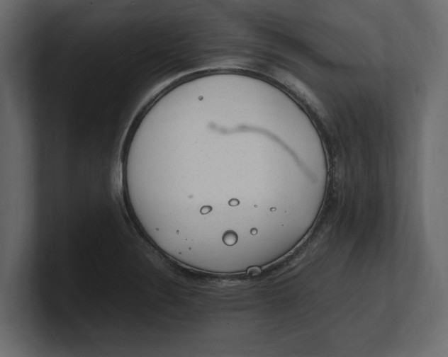X0000100351324200806271354