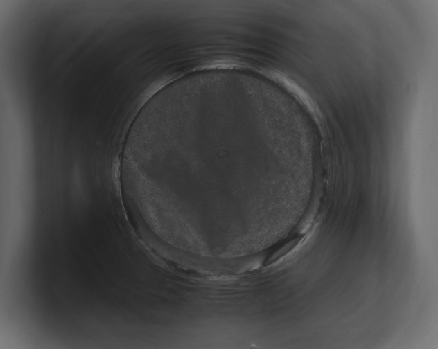 X0000100351329200806271354