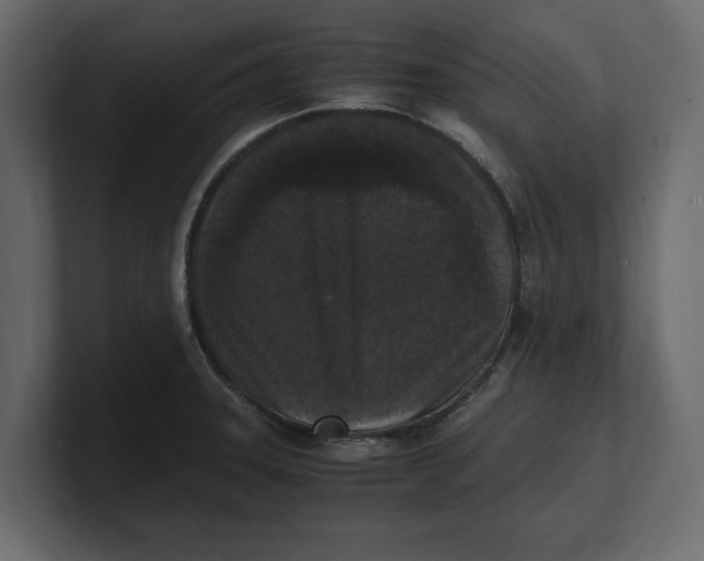 X0000100351331200806271354