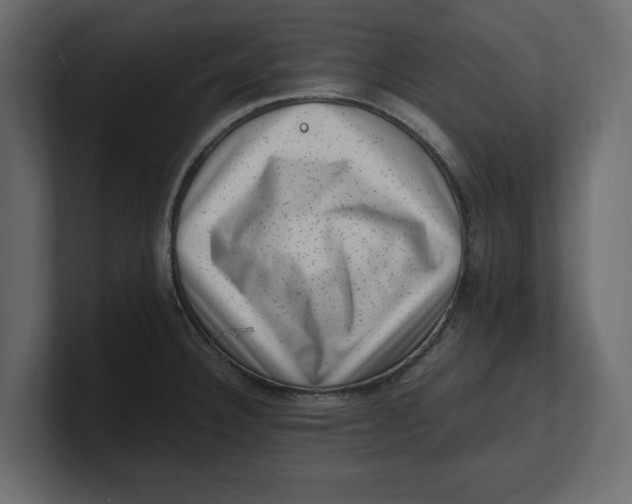X0000100351332200806271354
