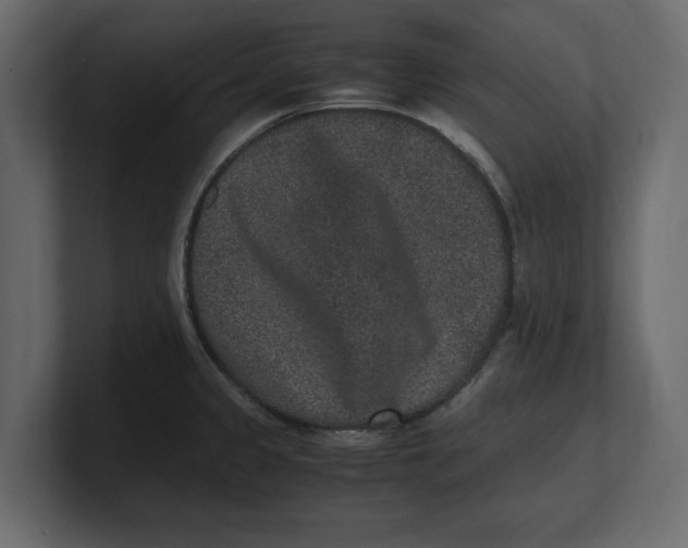 X0000100351333200806271354