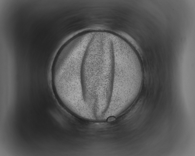 X0000100351335200806271354