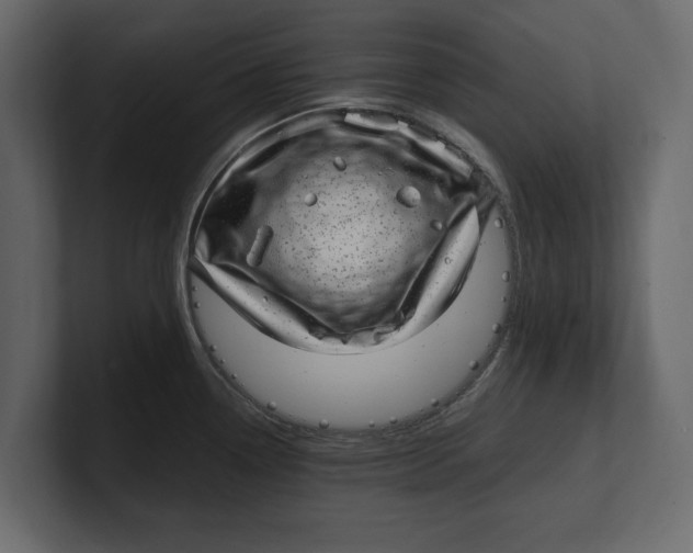 X0000100351338200806271354