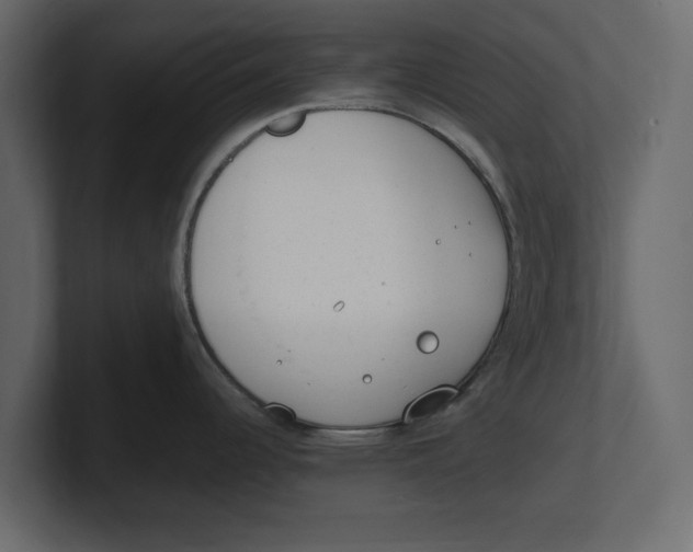 X0000100351344200806271354