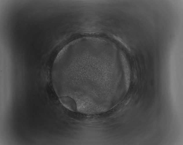 X0000100351350200806271353