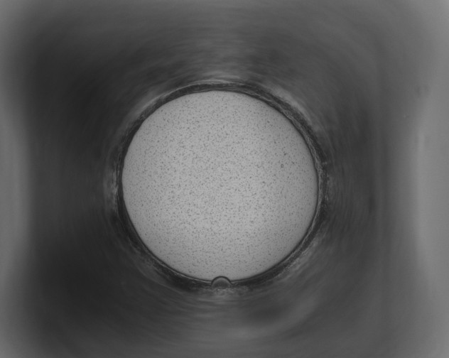 X0000100351355200806271353