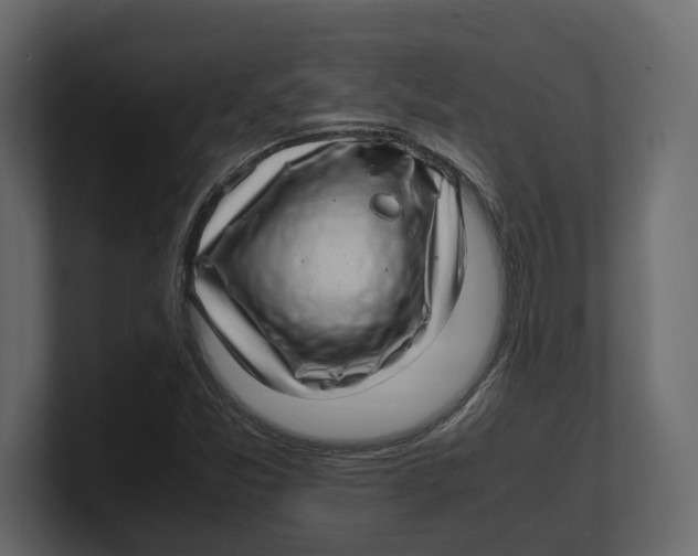 X0000100351357200806271353