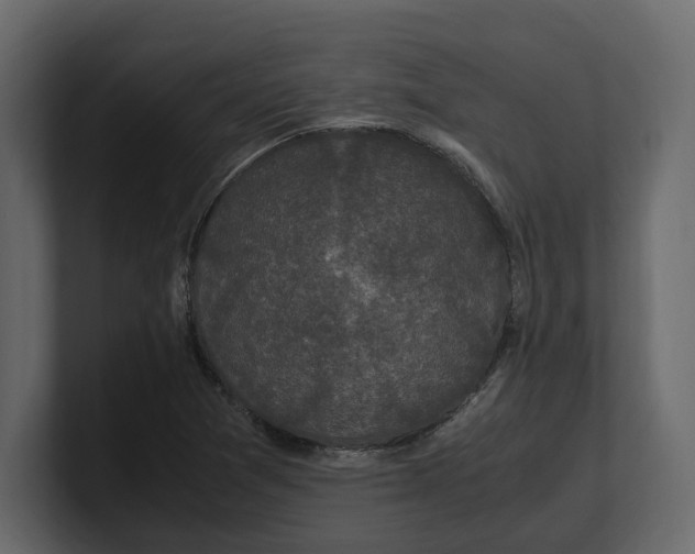 X0000100351361200806271353