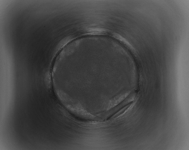 X0000100351362200806271353