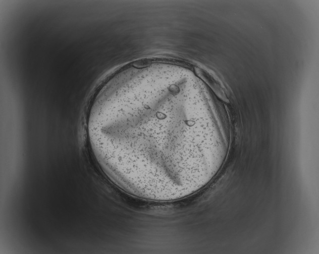 X0000100351363200806271353