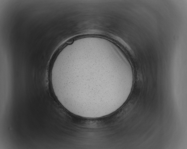 X0000100351364200806271353