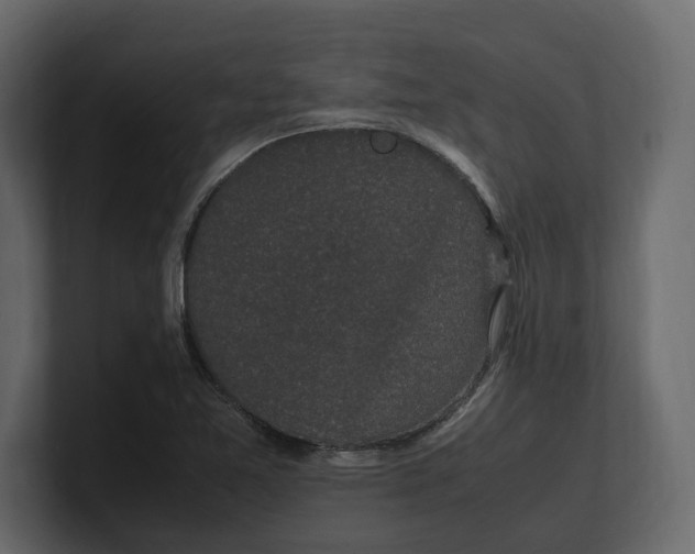 X0000100351365200806271353