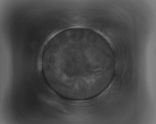 X0000100351367200806271353