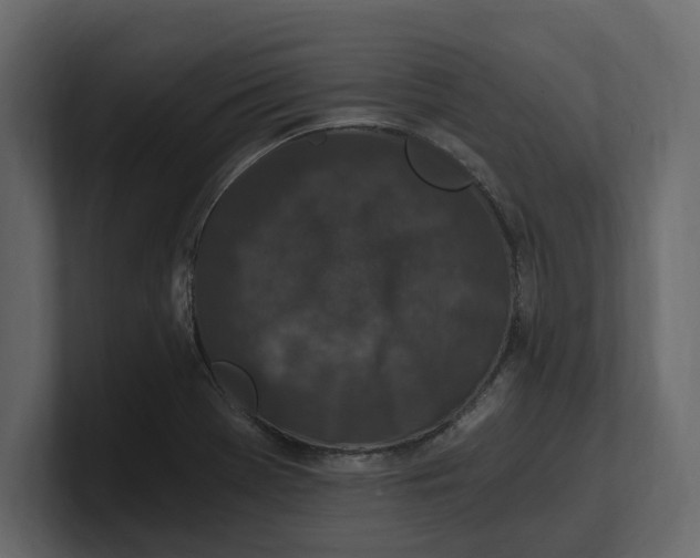 X0000100351369200806271353