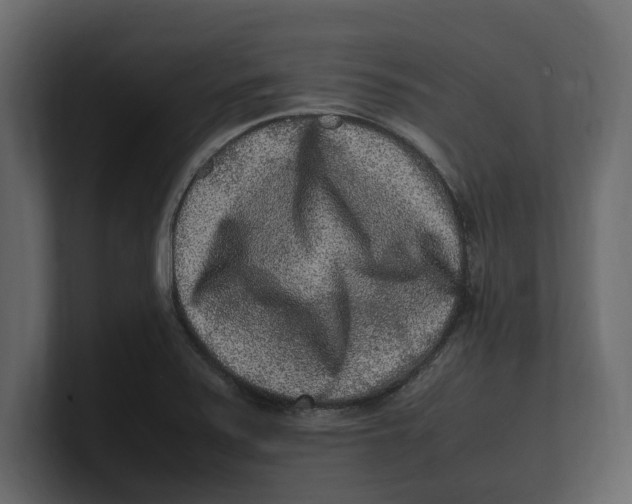 X0000100351371200806271353