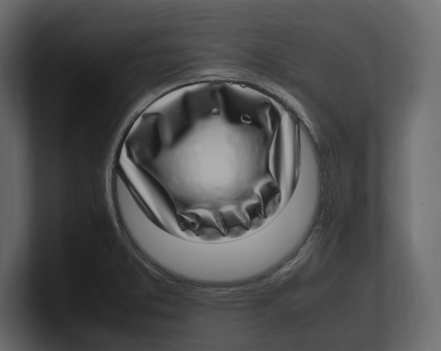 X0000100351373200806271353