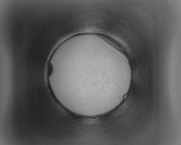 X0000100351374200806271353
