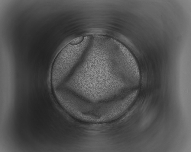 X0000100351378200806271353