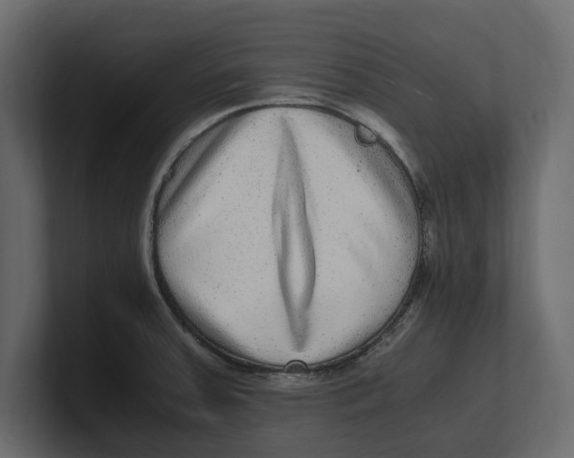 X0000100351379200806271353