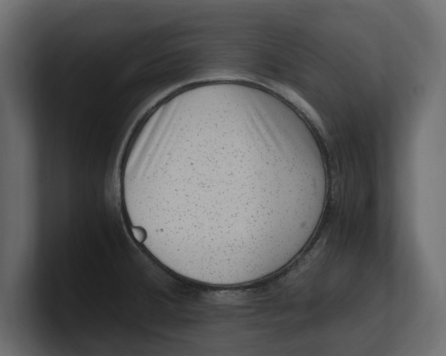 X0000100351380200806271353