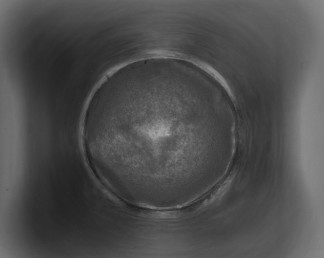 X0000100351381200806271353