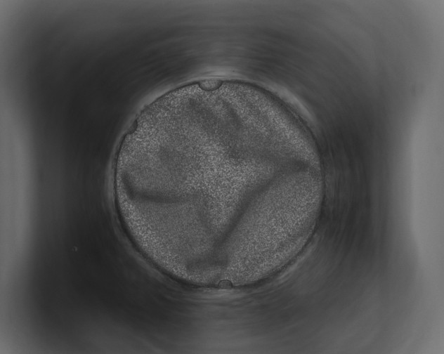 X0000100351382200806271353