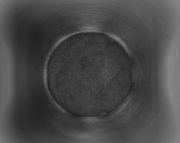 X0000100351383200806271353