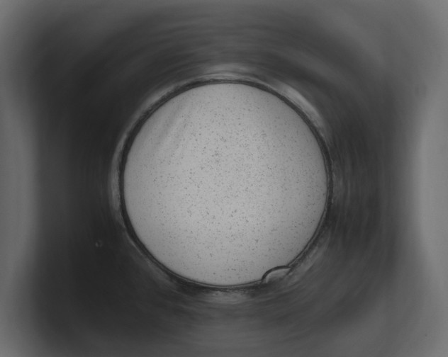 X0000100351384200806271353