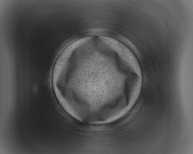 X0000100351386200806271353