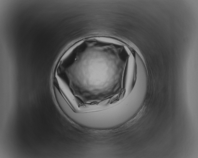 X0000100351389200806271353
