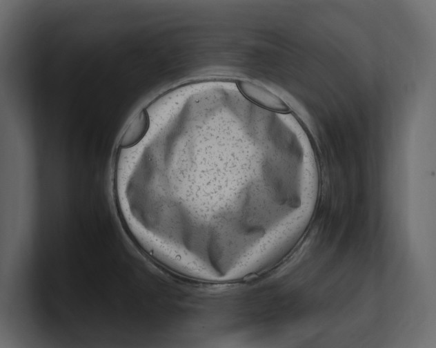 X0000100351390200806271353