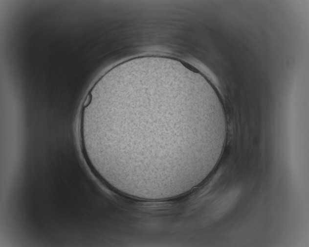 X0000100351391200806271353