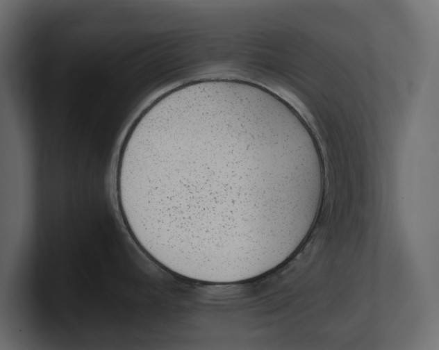 X0000100351392200806271353