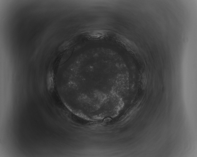 X0000100351394200806271352