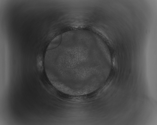 X0000100351396200806271352