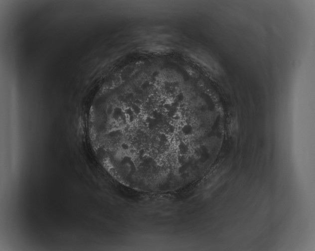 X0000100351397200806271352