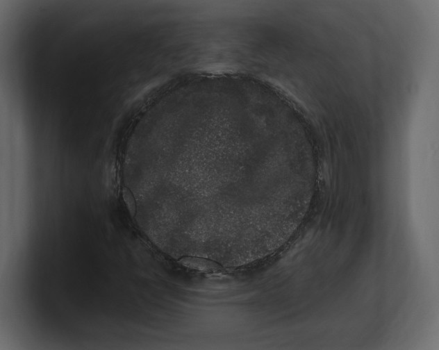X0000100351398200806271352