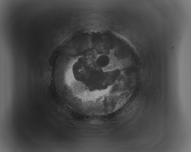 X0000100351399200806271352