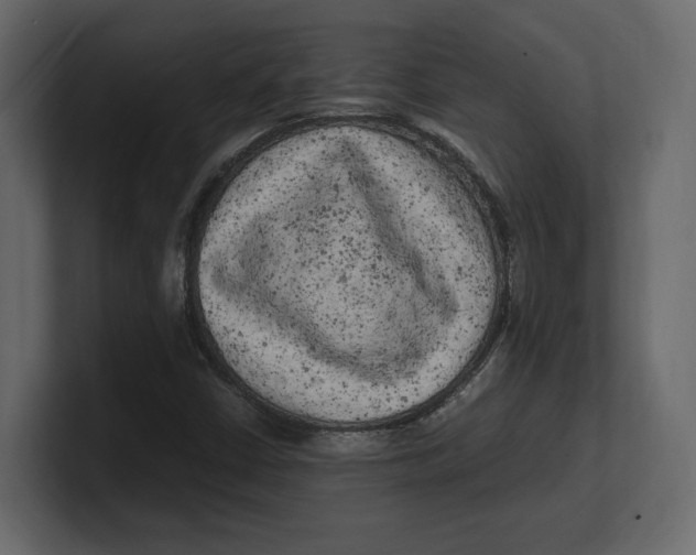 X0000100351402200806271352