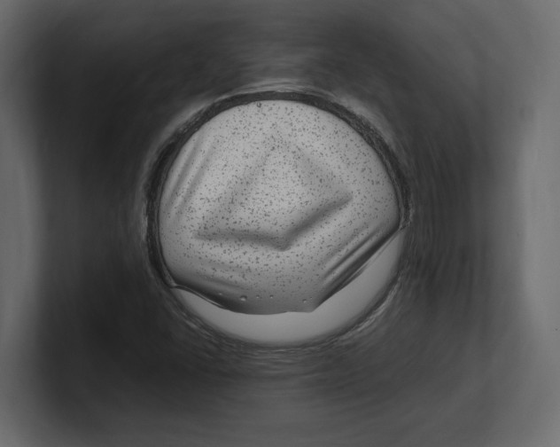 X0000100351406200806271352