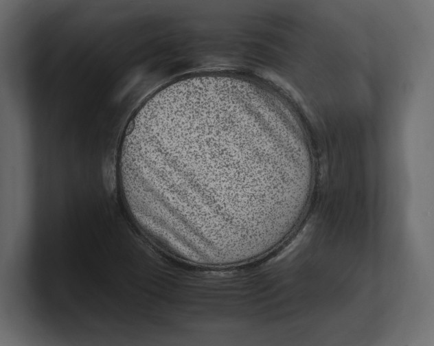 X0000100351409200806271352