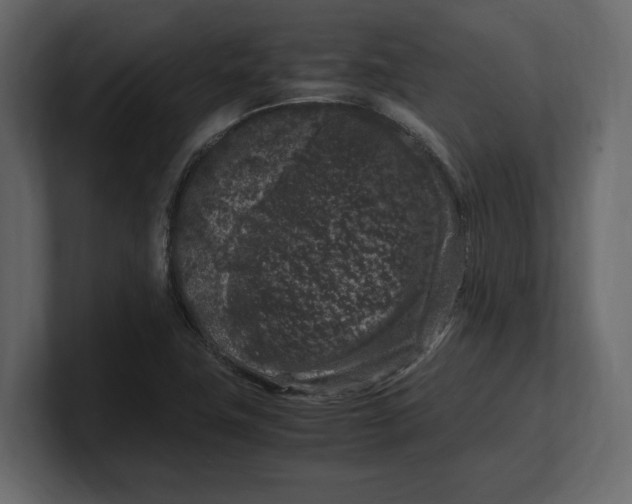 X0000100351411200806271352
