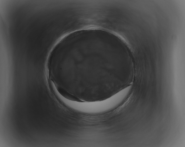 X0000100351414200806271352