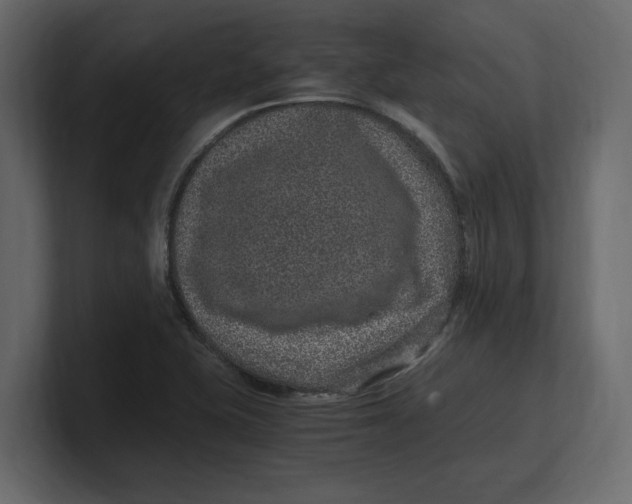 X0000100351415200806271352