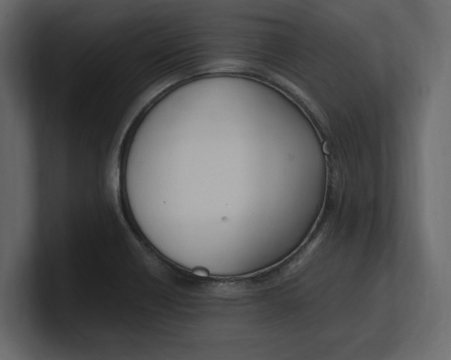 X0000100351418200806271352