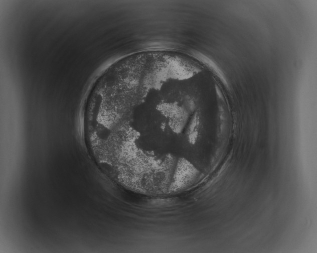 X0000100351419200806271352