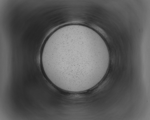 X0000100351420200806271352