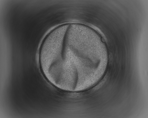 X0000100351424200806271352